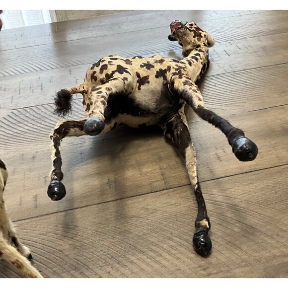 Victorian Antique Miniature Giraffe Victorian Toys Handmade Fur Taxidermy - Picture 12 of 13